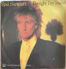 Rod Stewart Tonight I'm Yours 45 lik
