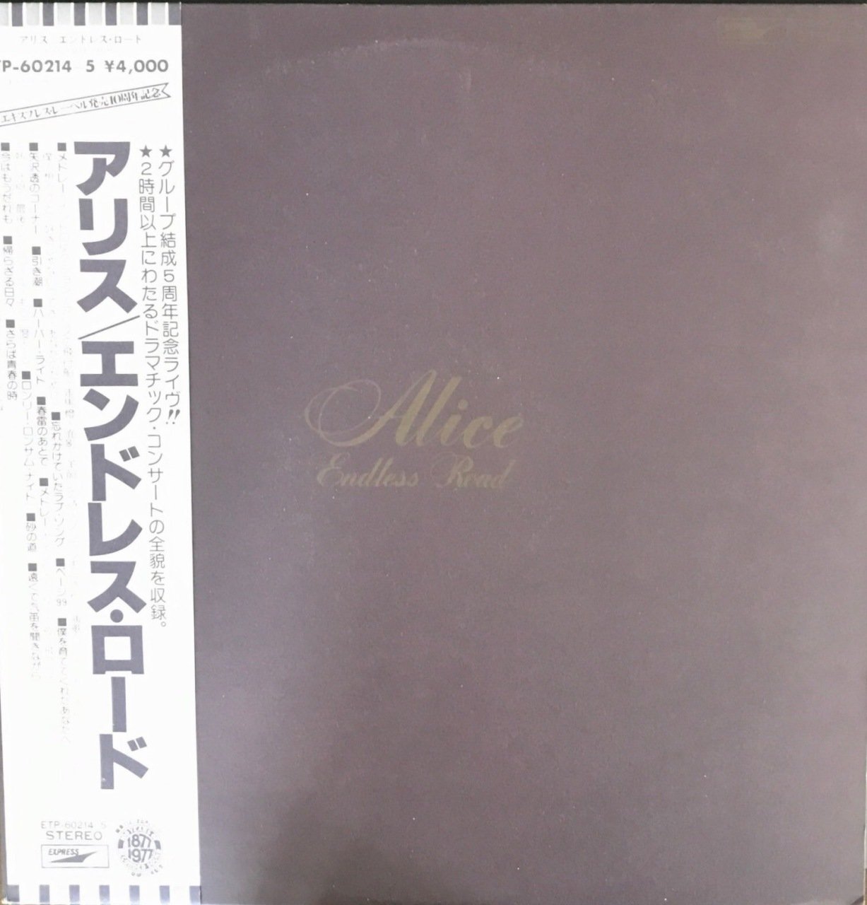 Alice Endless Road Çift LP