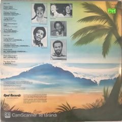 Wildflower Roots LP