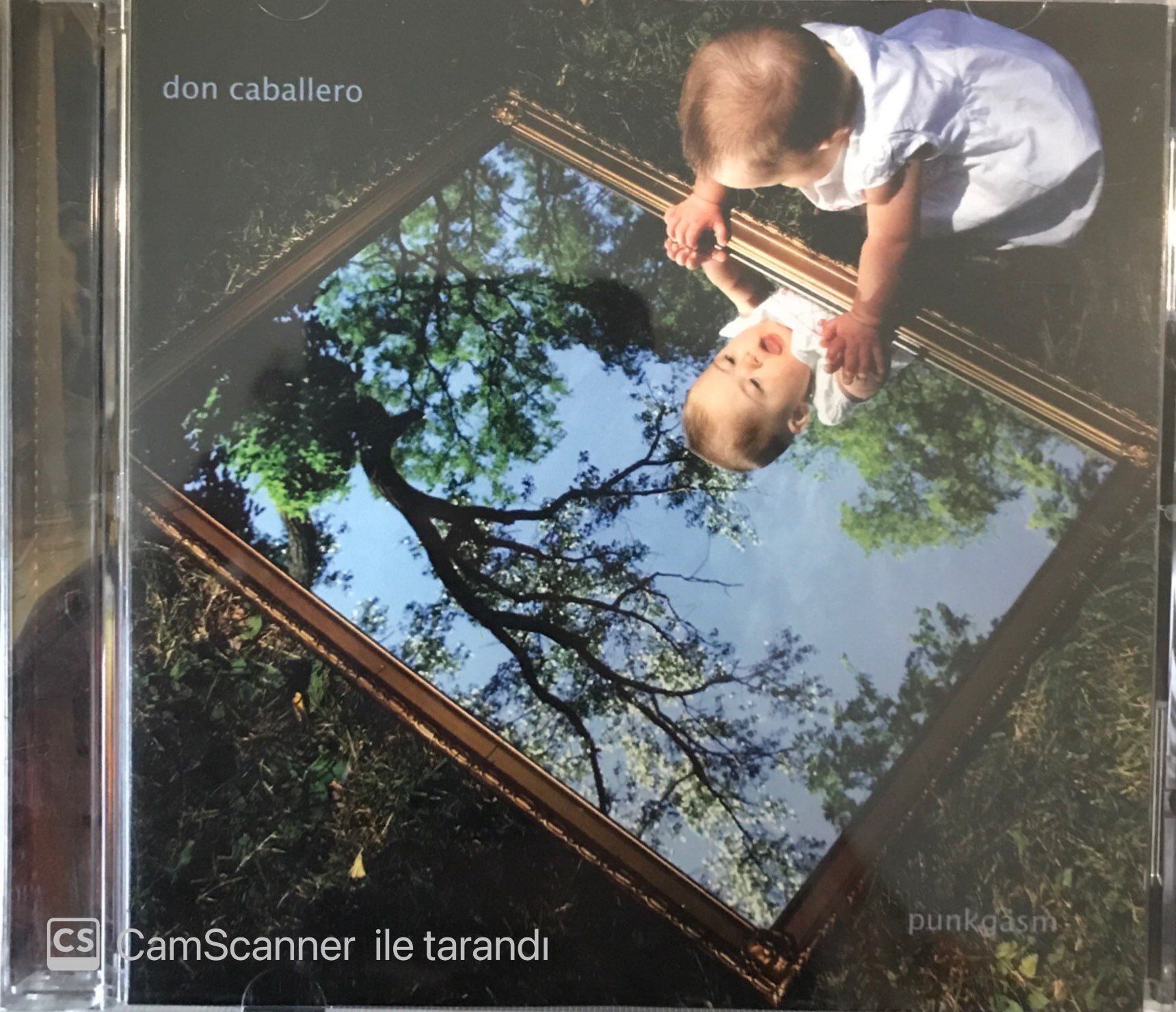 Don Caballero - Punkgasm CD