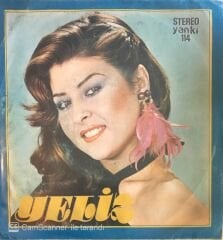 Yeliz Bir Bahar Yağmuru 45lik
