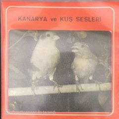 Bülbül Sesi 45lik
