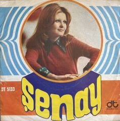 Şenay - Gerçek Nerde 45lik