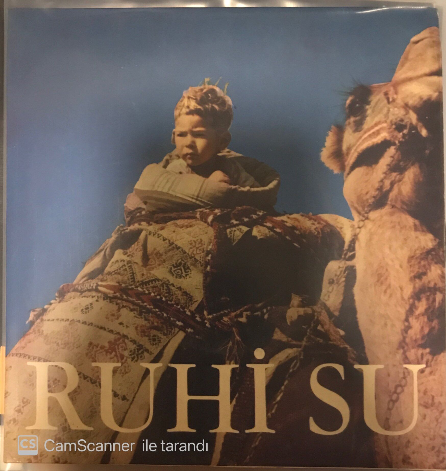 Ruhi Su Masalların Masalı 45lik