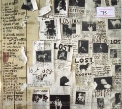 Pearl Jam Lost Dogs 2'li CD