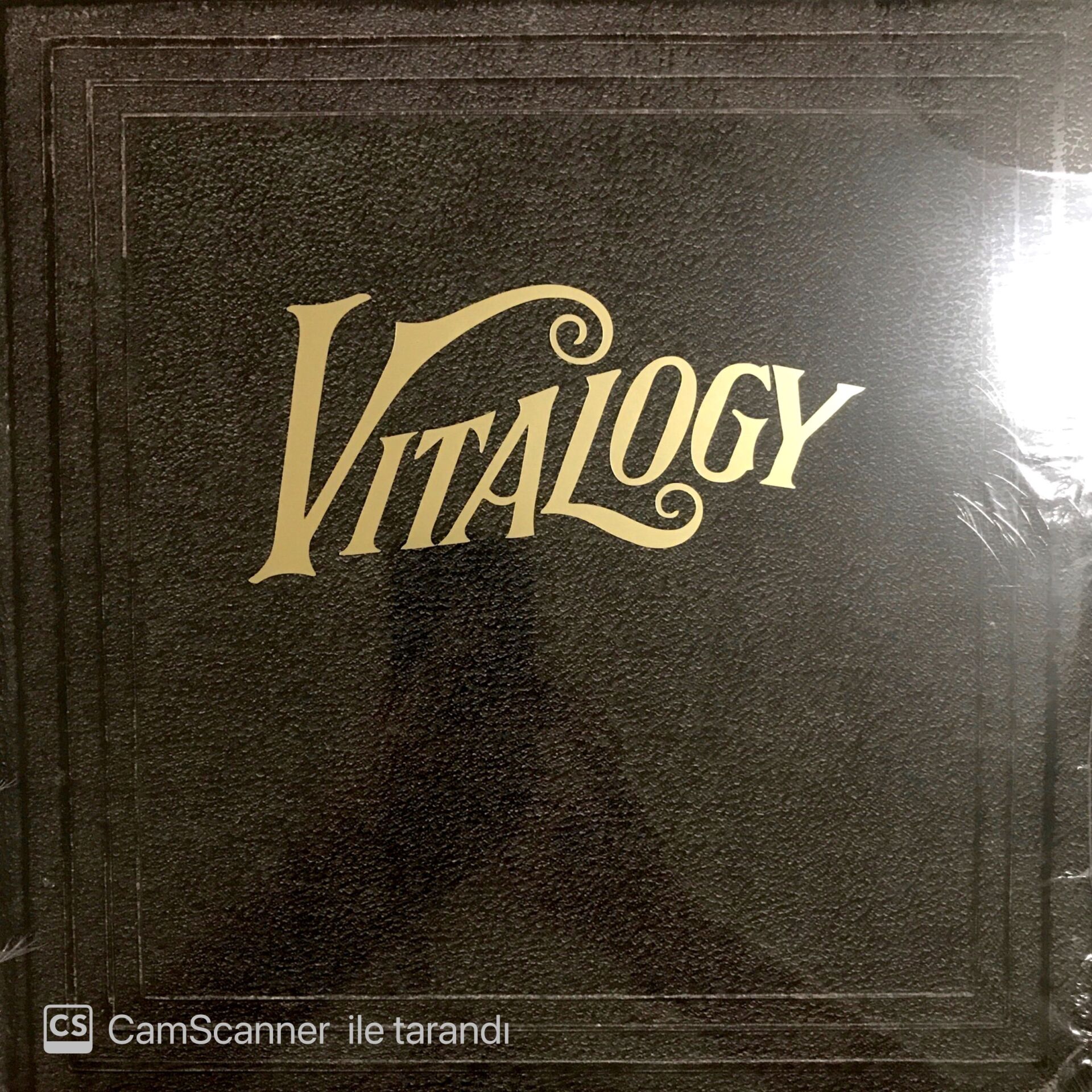 Vitalogy LP