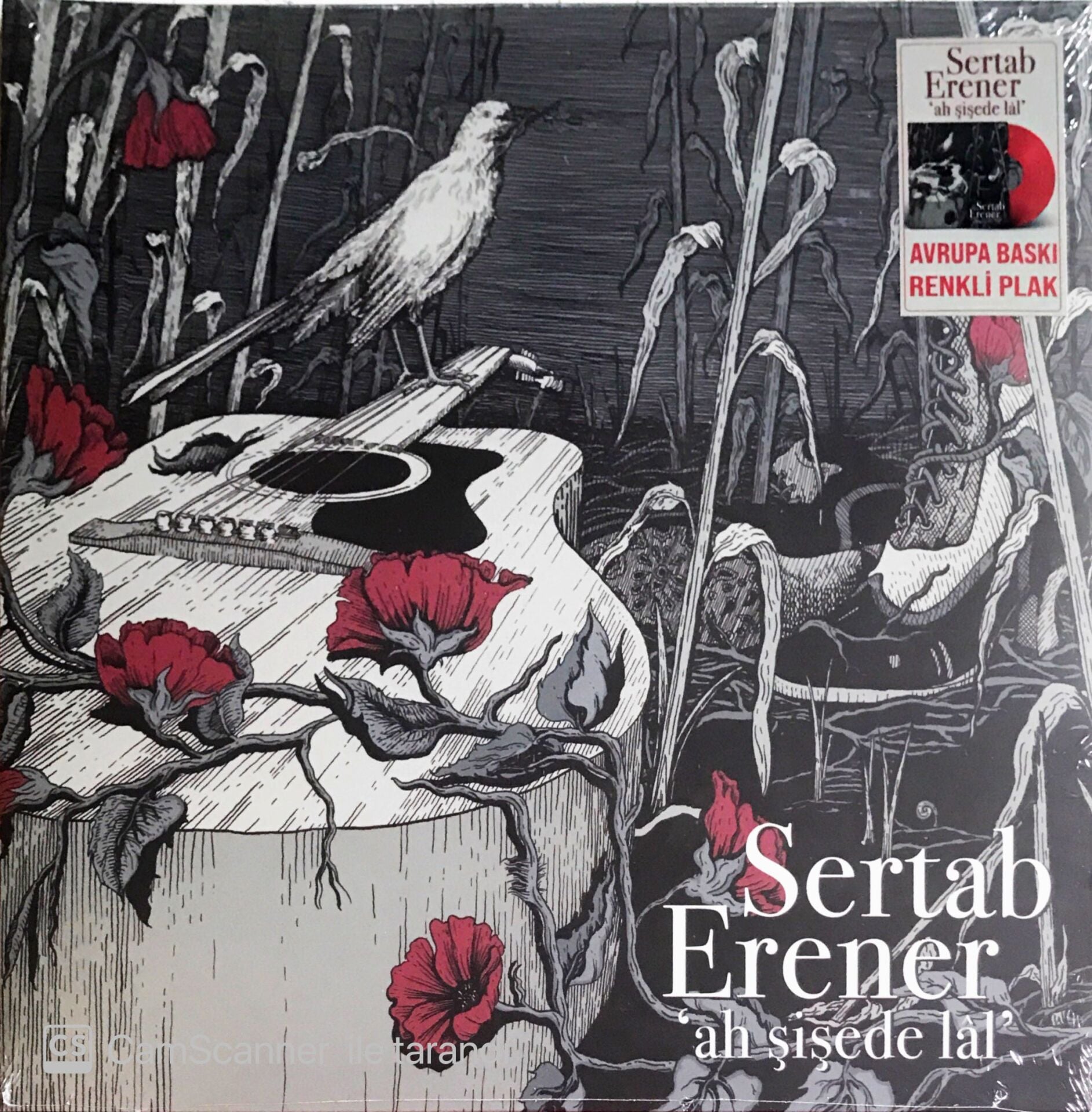 Sertab Erener - 'Ah Şişede Lal' (Renkli Plak) - LP