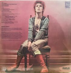 David Bowie - Space Oddity (Posterli) LP