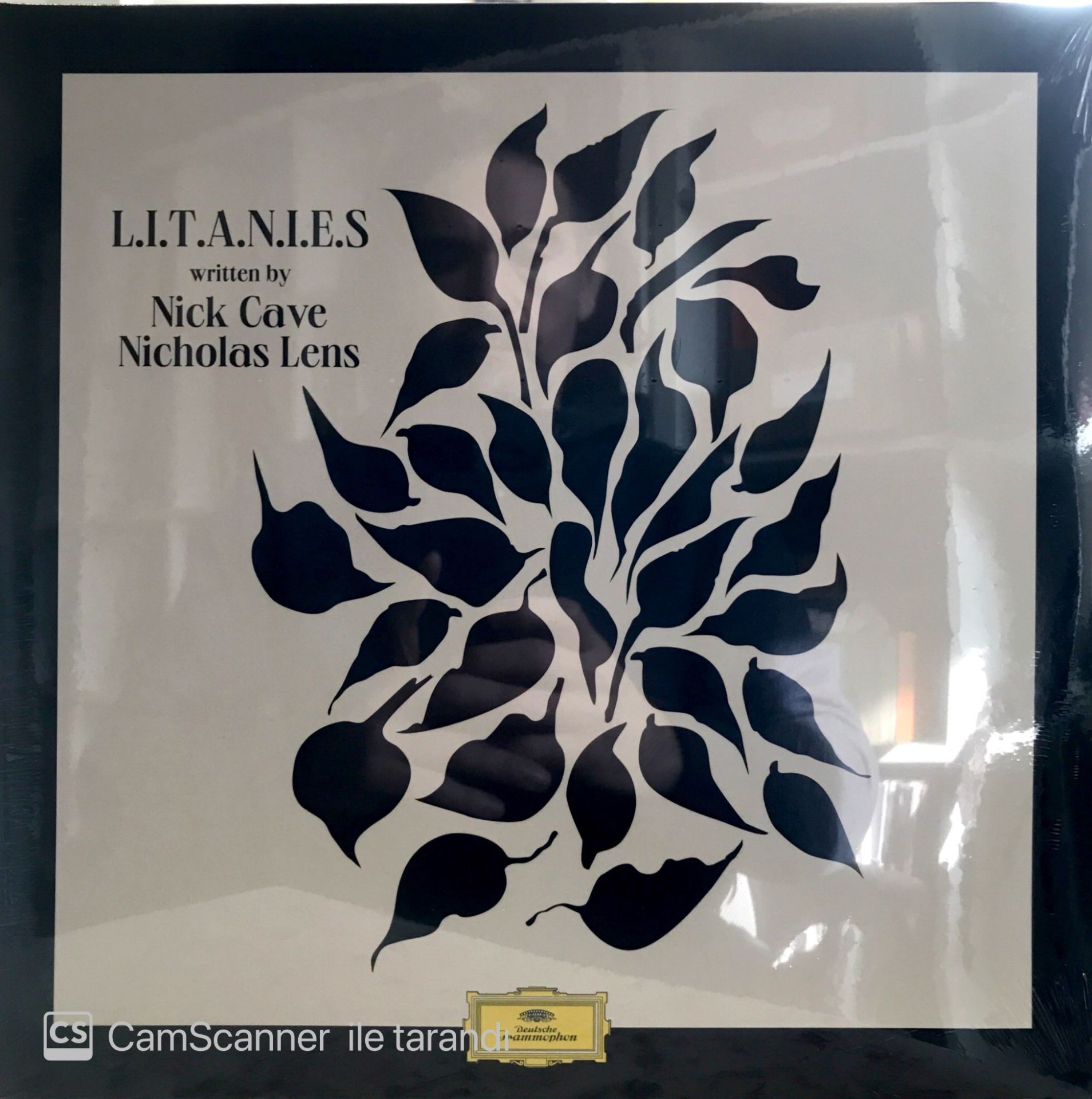 L.I.T.A.N.I.E.S written by Nick Cave Nicholas Lens LP