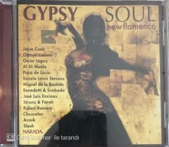 Gypsy Soul New Flamenco CD
