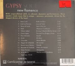Gypsy Soul New Flamenco CD