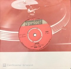 Nancy Sinatra Jackson 45lik