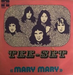 Tee Set Mary Mary 45lik