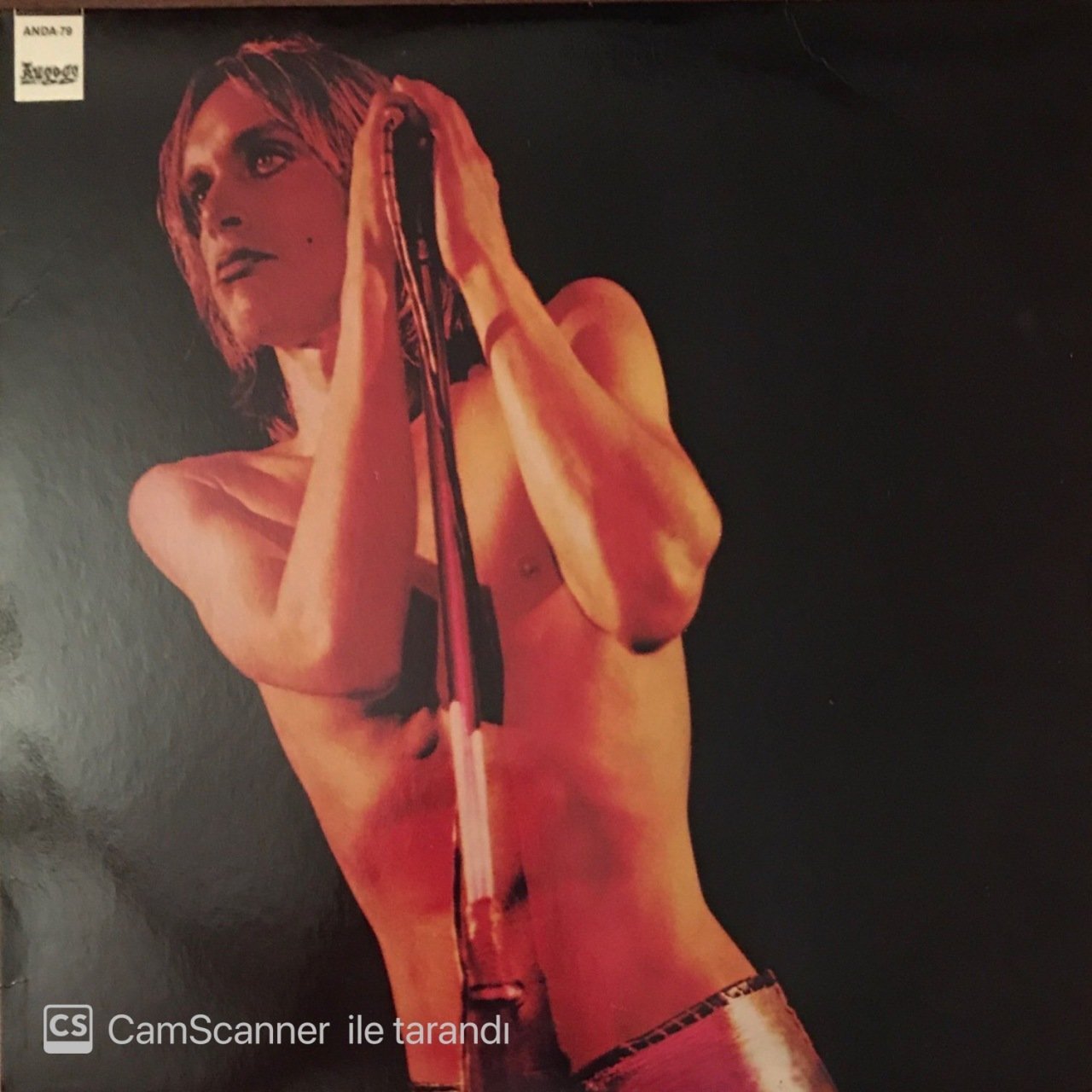 Iggy Pop And The Stooges Raw Power LP