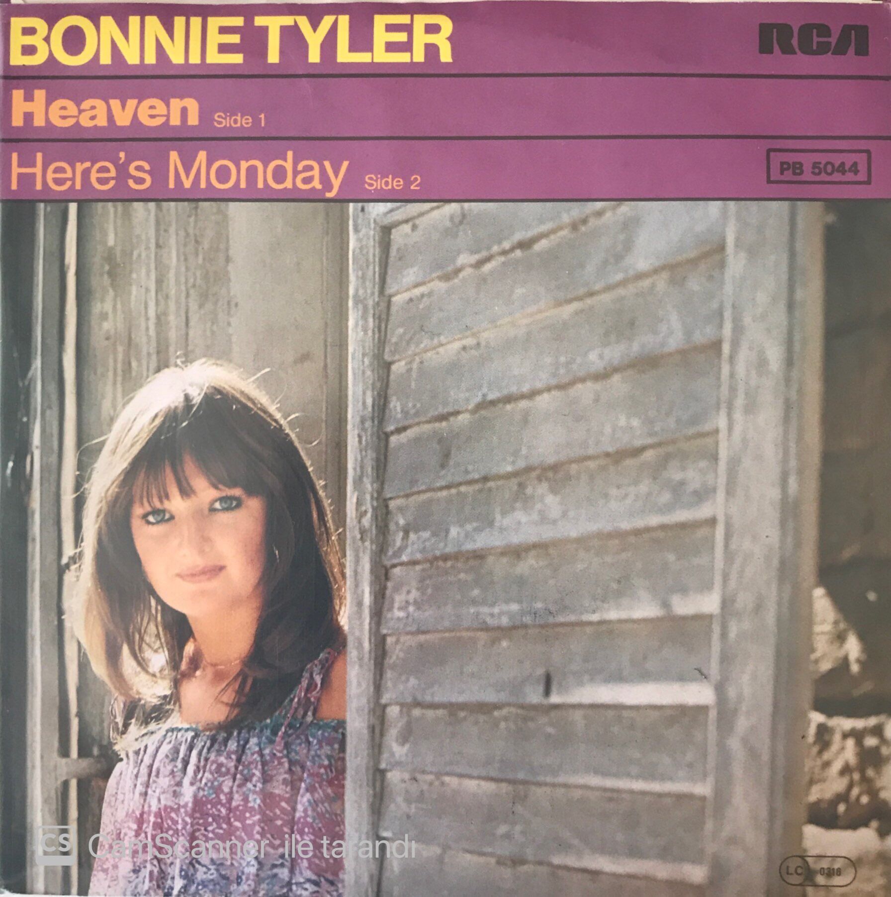 Bonnie Tyler - Heaven 45lik