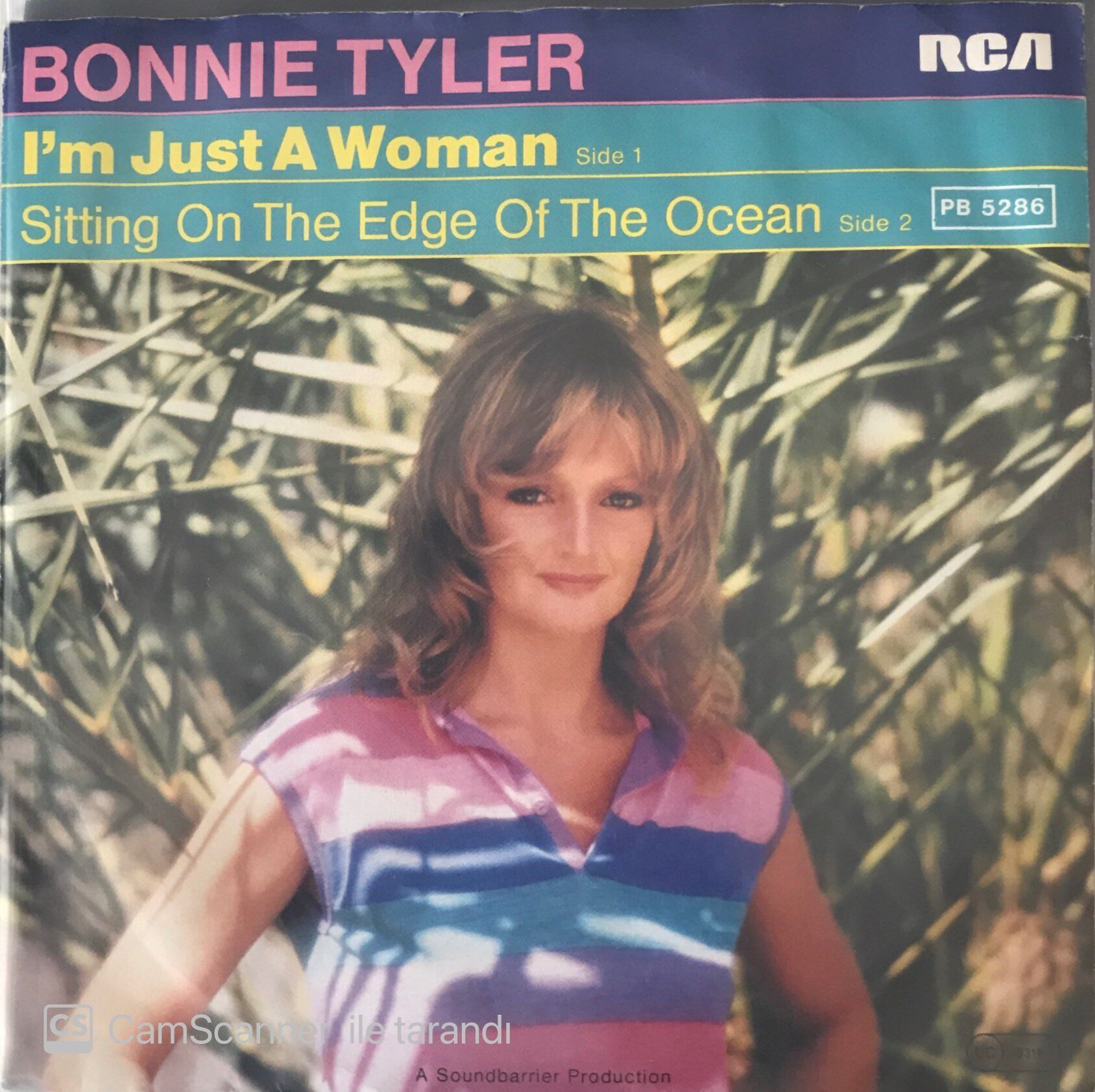 Bonnie Tyler - I'm Just A Woman 45lik