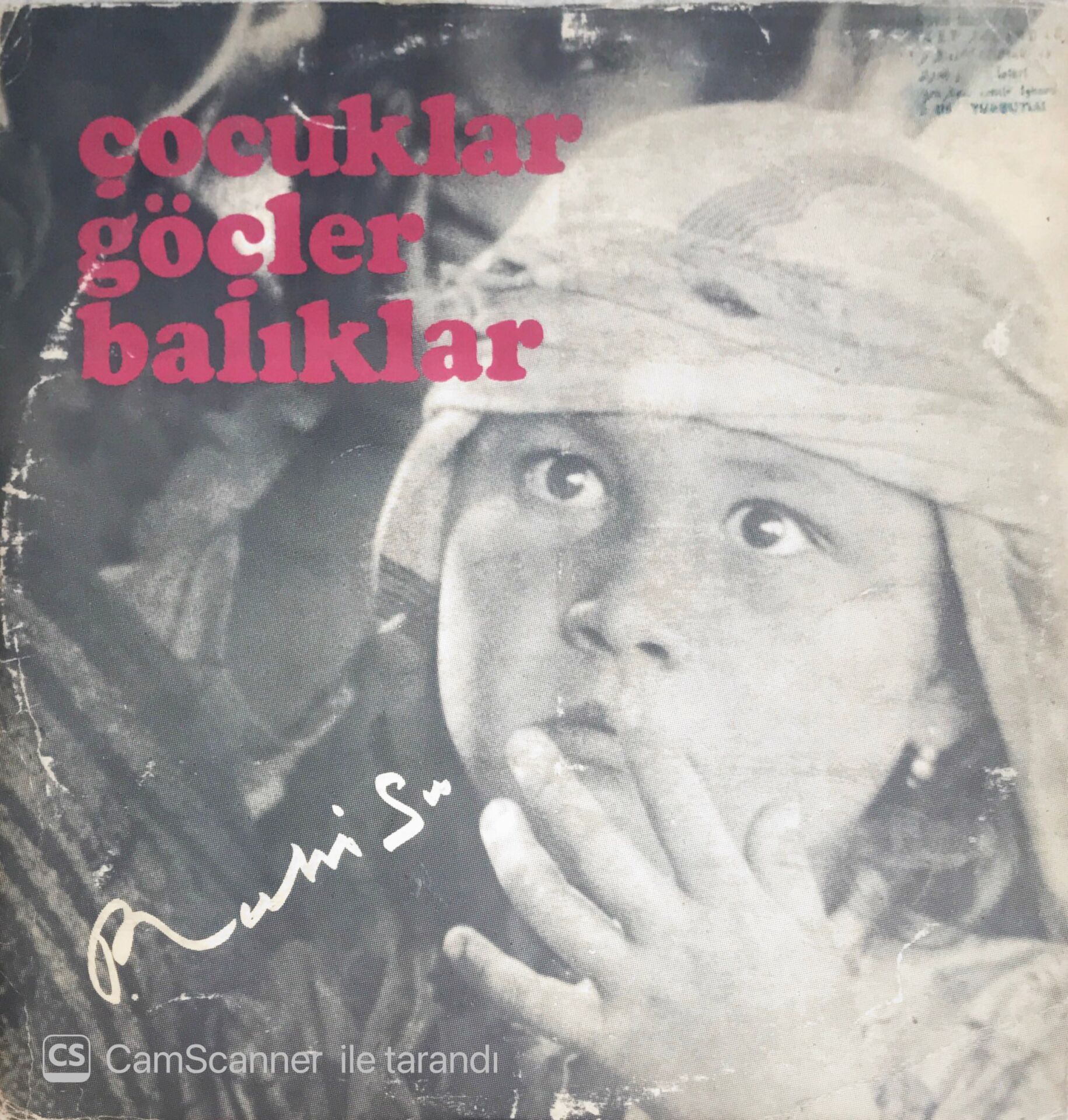 Ruhi Su - Çocuklar Göçler Balıklar - LP