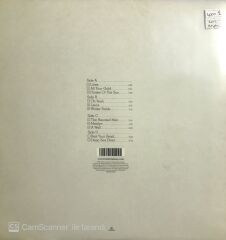 Bat for Lashes - The Haunted Man (Double LP) LP