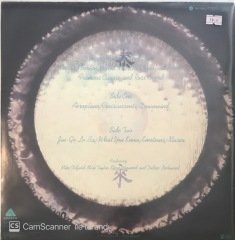Gong Donwnwind LP