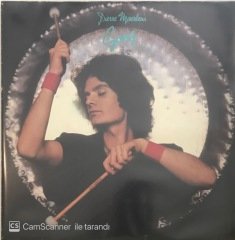 Gong Donwnwind LP