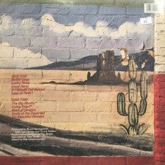 Bruce Springsteen Lucky Town LP