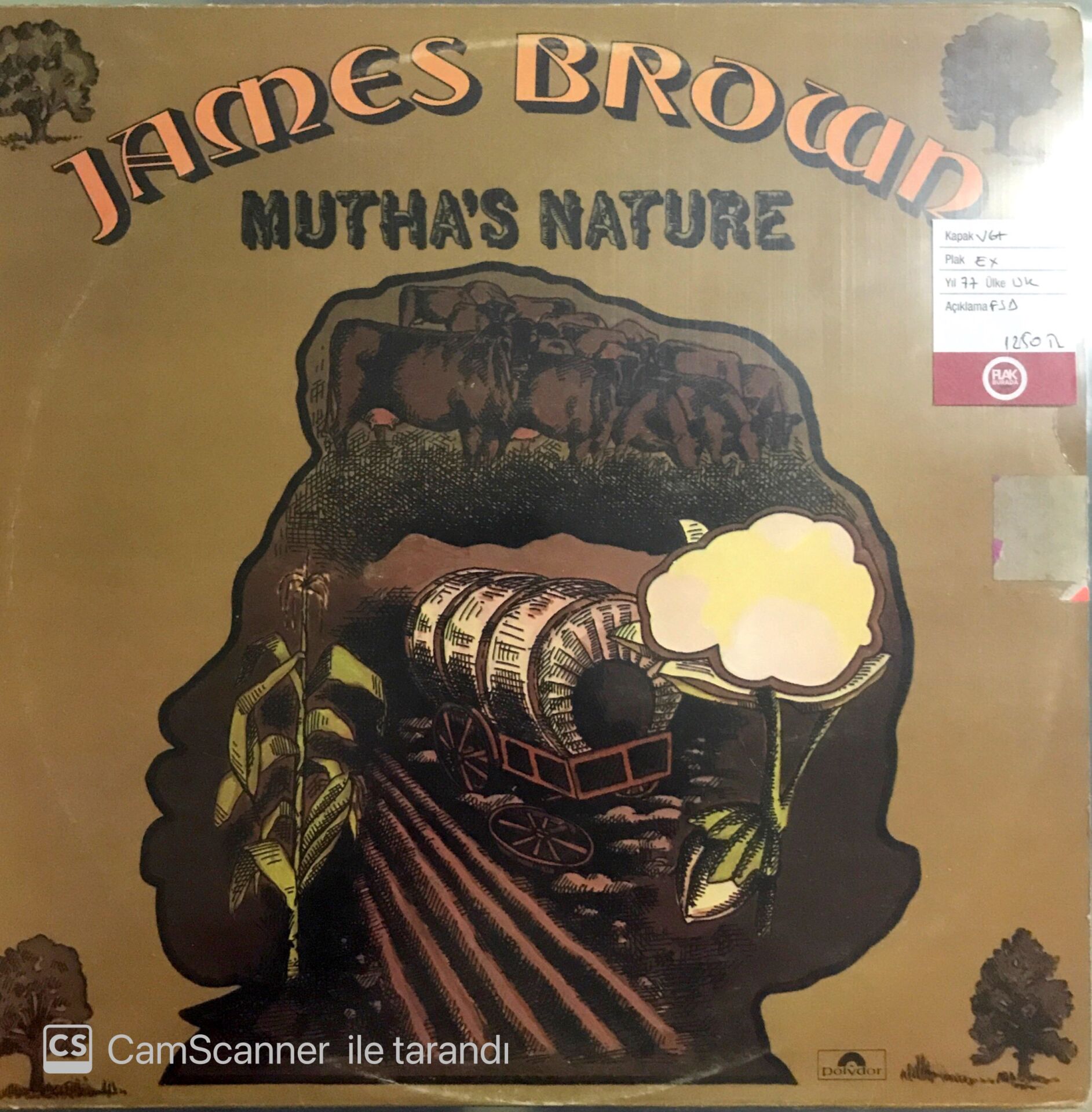 James Brown - Mutha's Nature LP