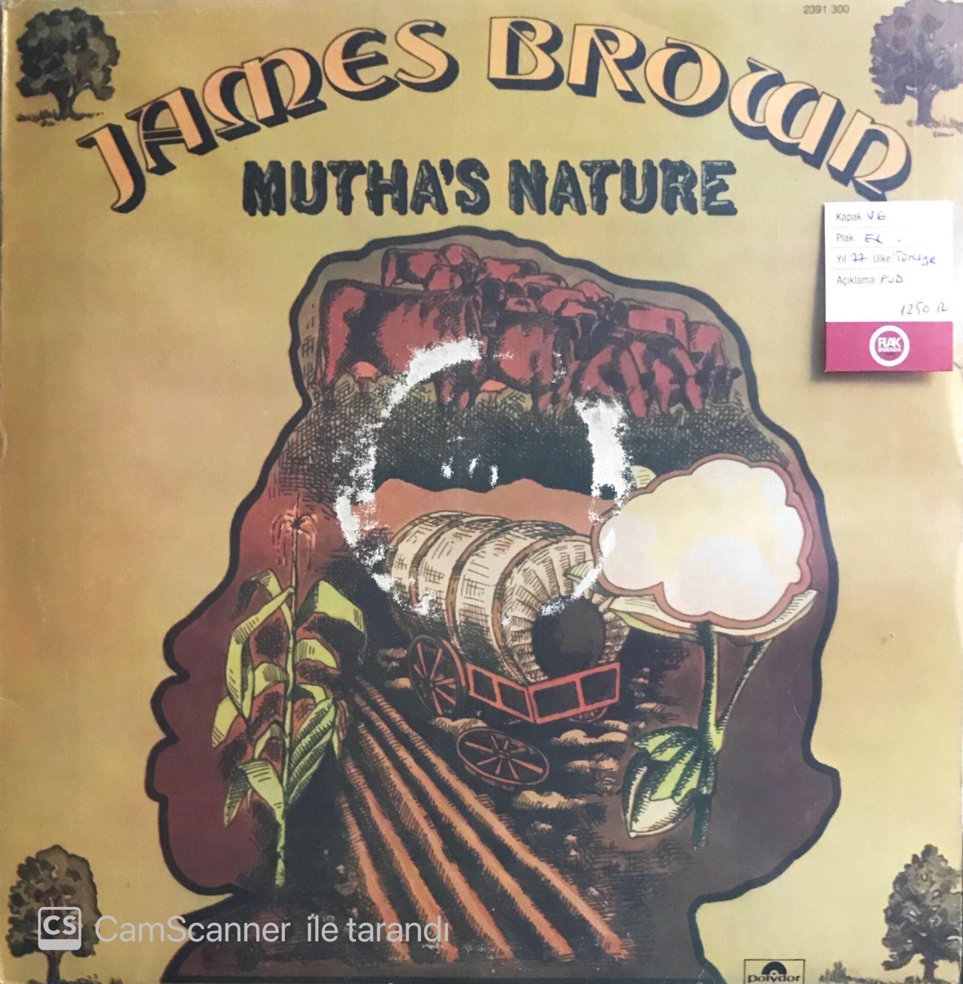 James Brown - Mutha's Nature - LP
