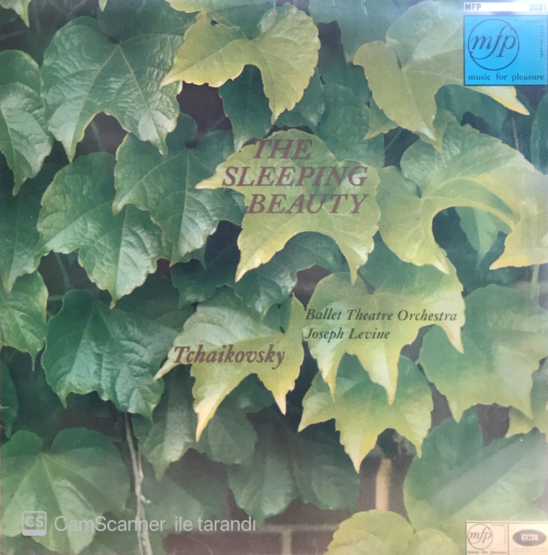 Tchaikovsky: The Sleeping Beauty - Ballet Theatre Orch. / Levine LP