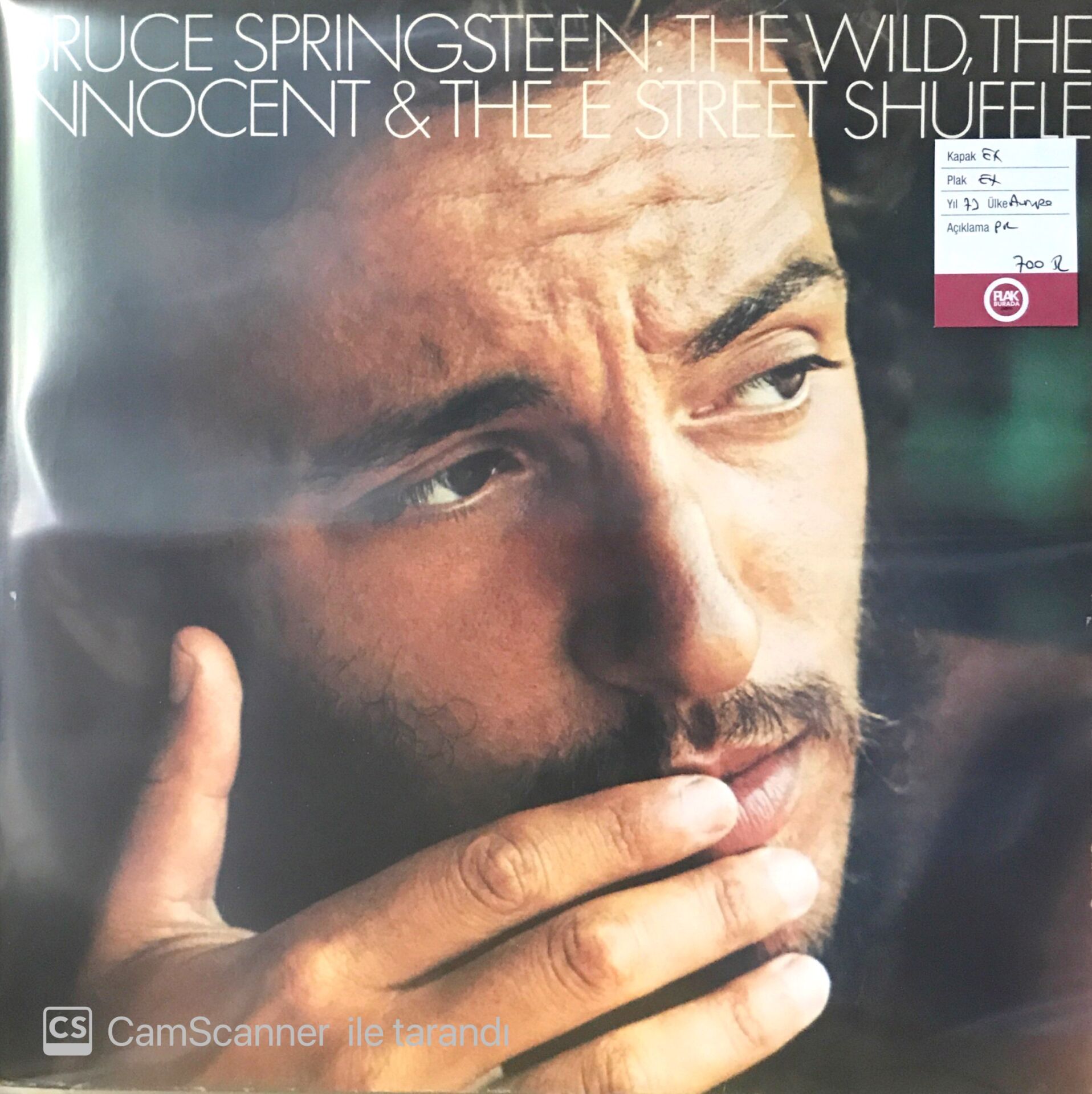 Bruce Springsteen The Wild , The Innocent & The E Street Shuffle LP
