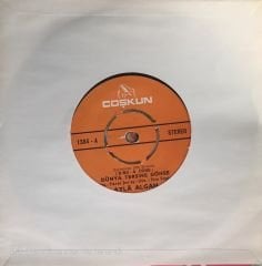 Ayla Algan - Dünya Tersine Dönse 45lik