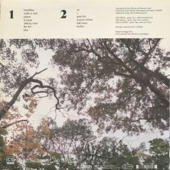 Waxahatchee - Ivy Tripp LP