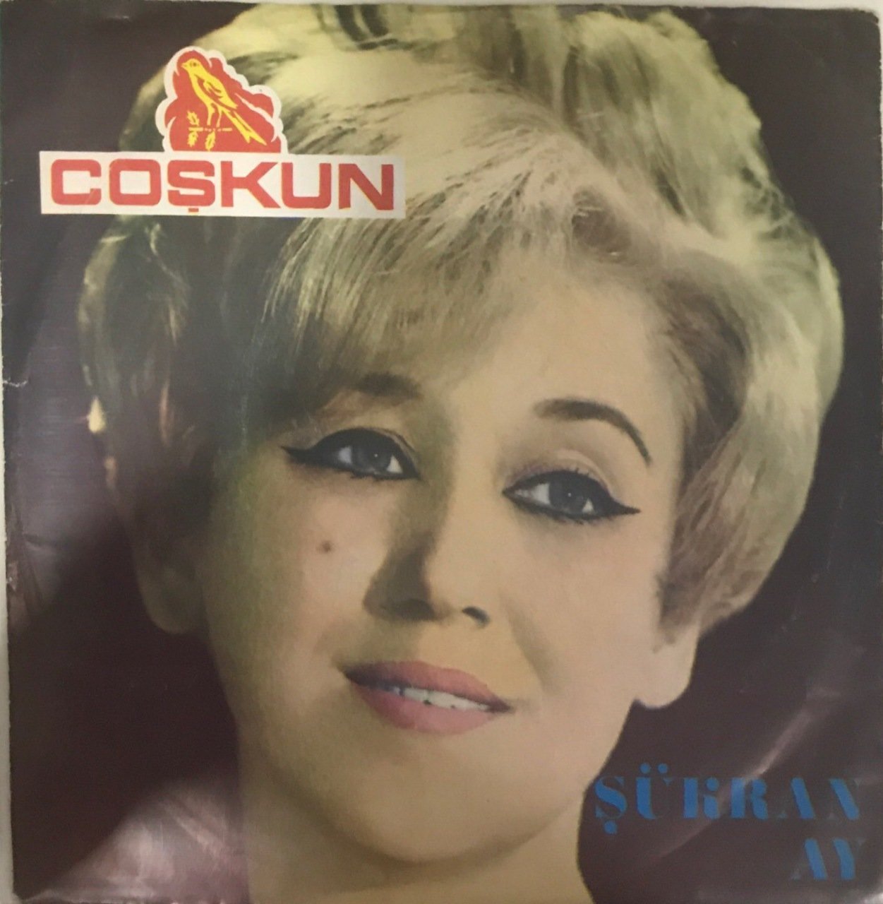 Şükran Ay Perişan Ol 45lik
