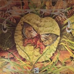 Spyro Gyra - Morning Dance LP