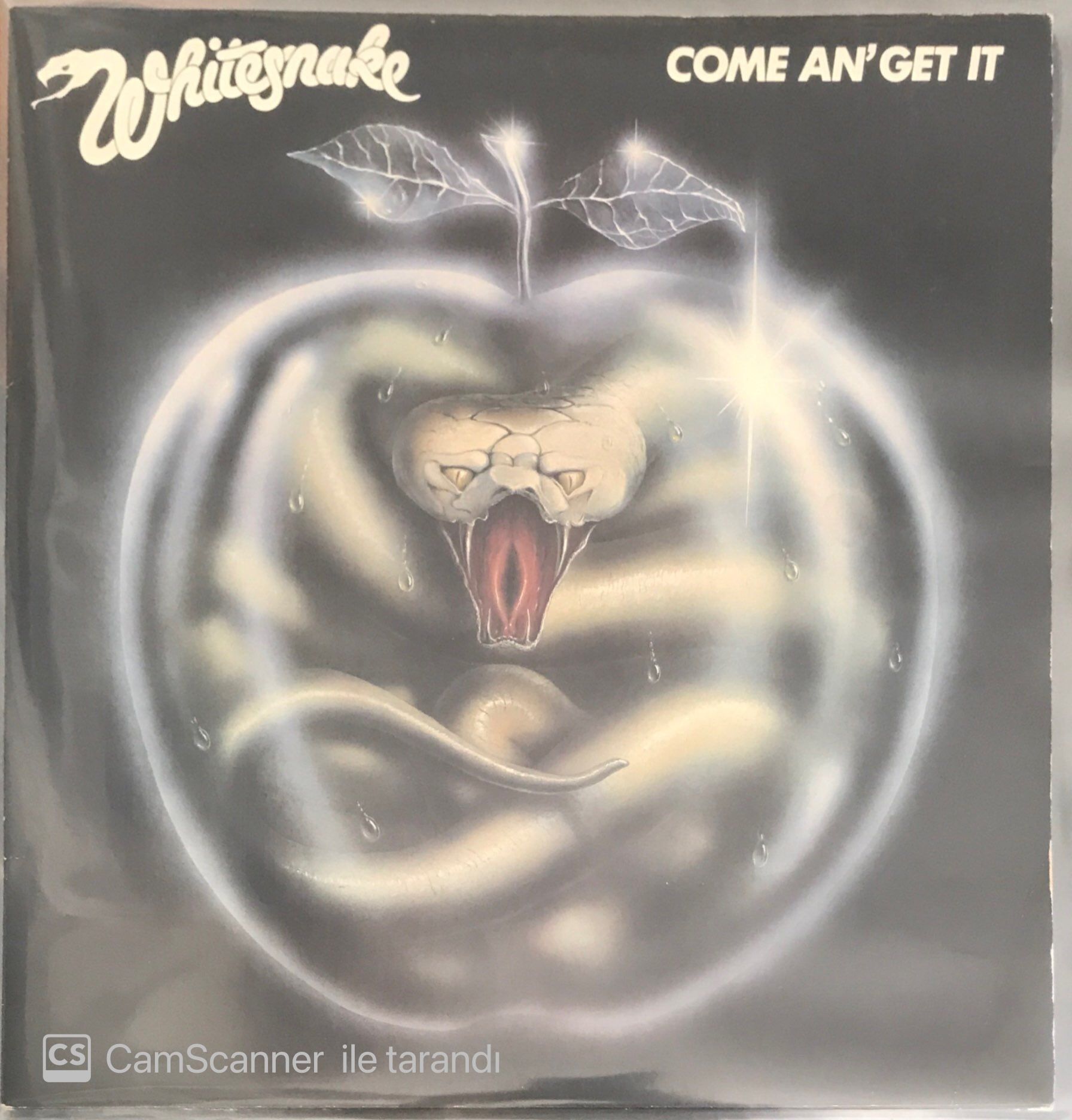 Whitesnake Come An' Get It LP