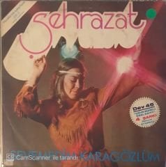 Şehrazat / Sevemedim Karagözlüm LP