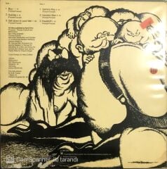 Birth Control Hoodoo Man LP