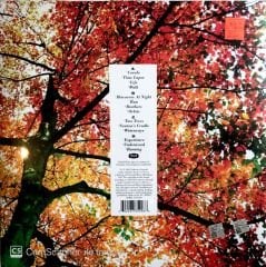 Ludovico Einaudi - In a Time Lapse LP