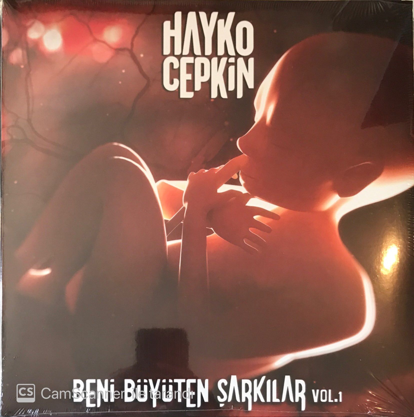Hayko Cepkin - Beni Büyüten Şarkılar Vol.1 LP