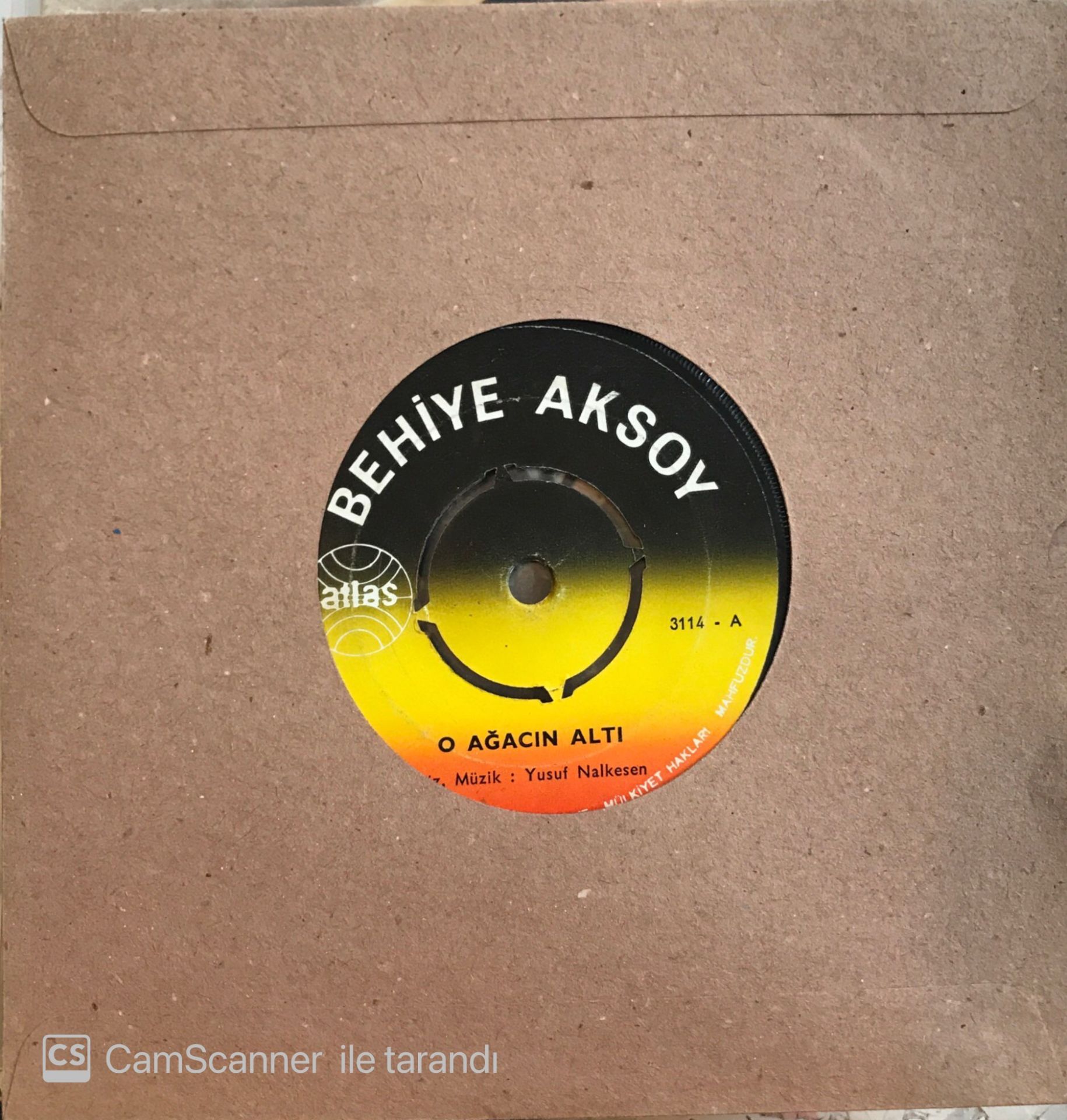 Behiye Aksoy O Ağacın Altı 45lik