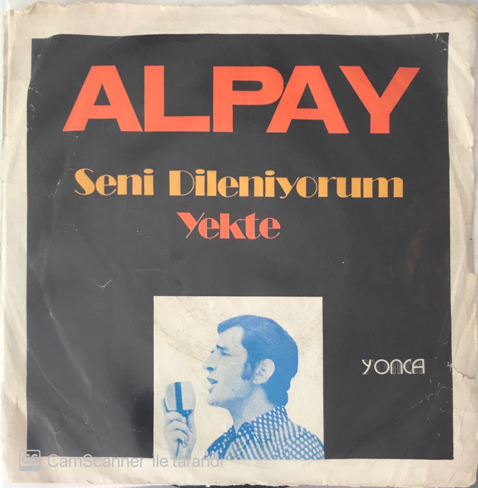 Alpay Seni Dileniyorum 45lik