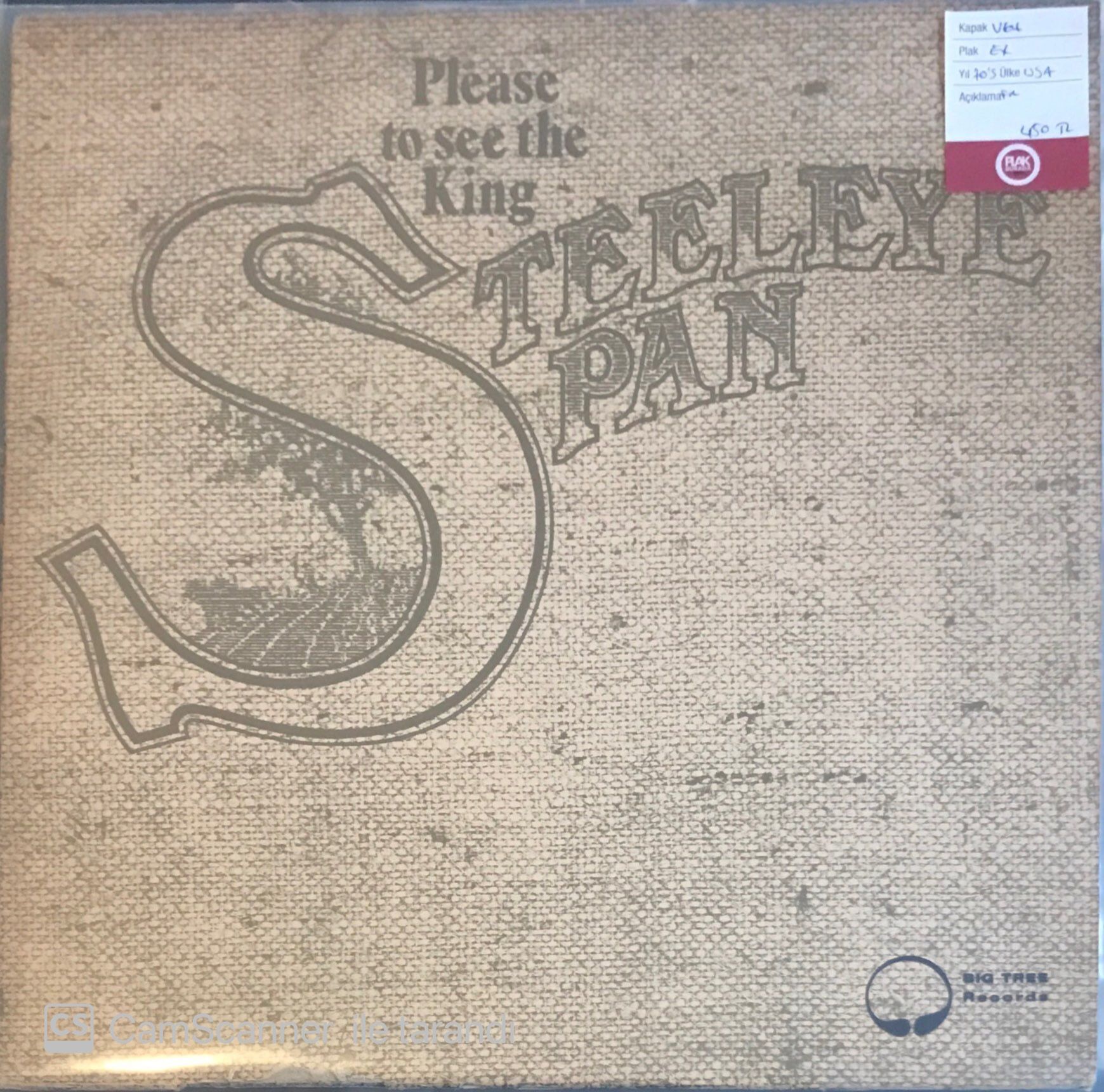 Steeleye Span - Please To See The King LP
