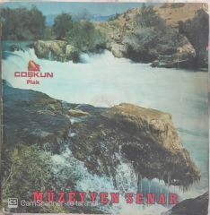 Müzeyyen Senar - Ben Seni Unutmak İçin Sevmedim LP