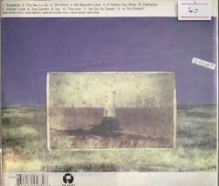 P.J. Harvey Is This Desire? CD