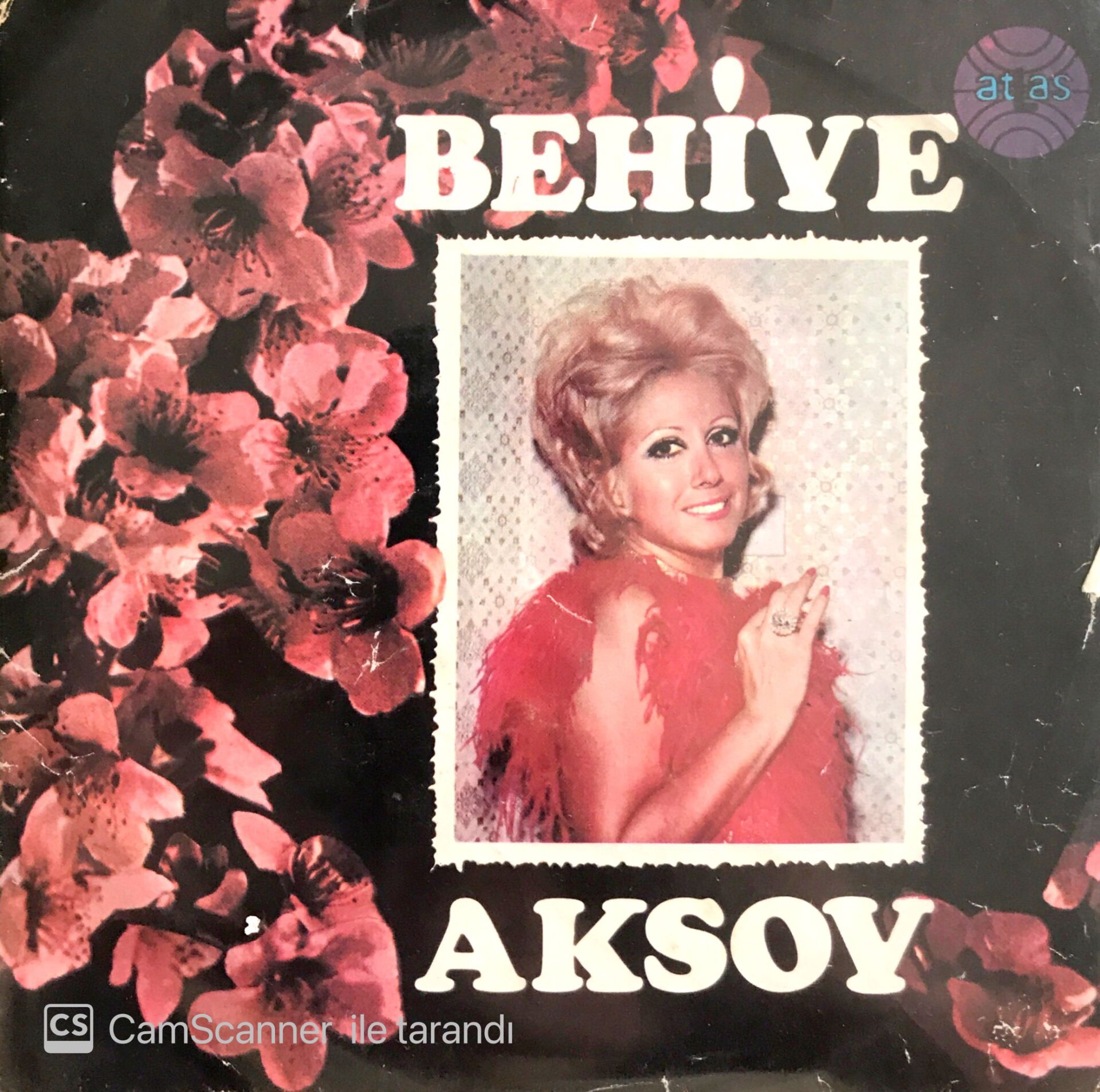 Behiye Aksoy / Arım, Balım, Peteğim 45lik