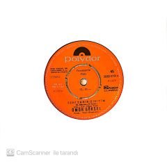 Ömür Göksel - Seni Tanır Gibiyim 45lik