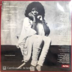 Gloria Gaynor / I Have A Right LP