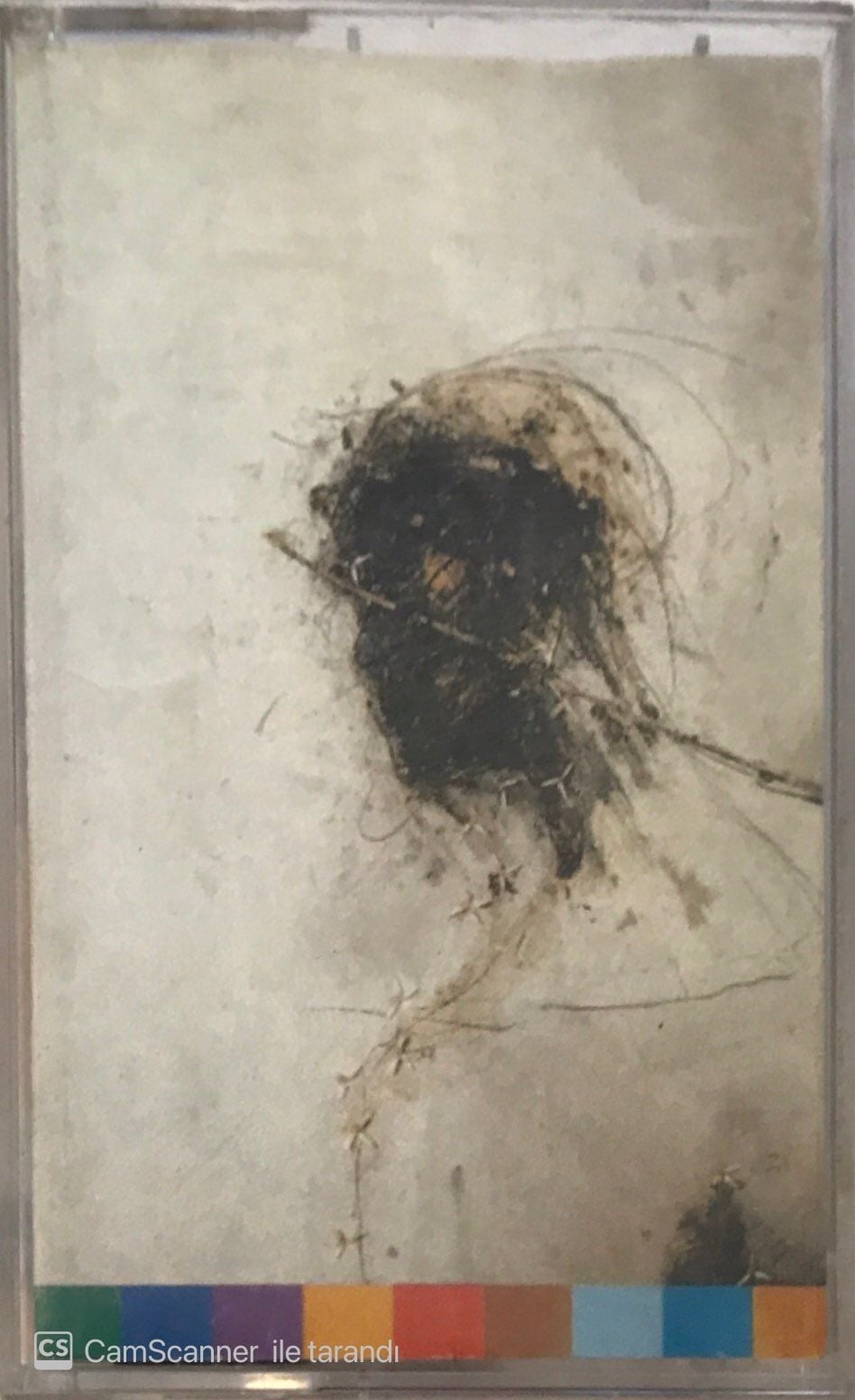 Peter Gabriel Passion Real World KASET