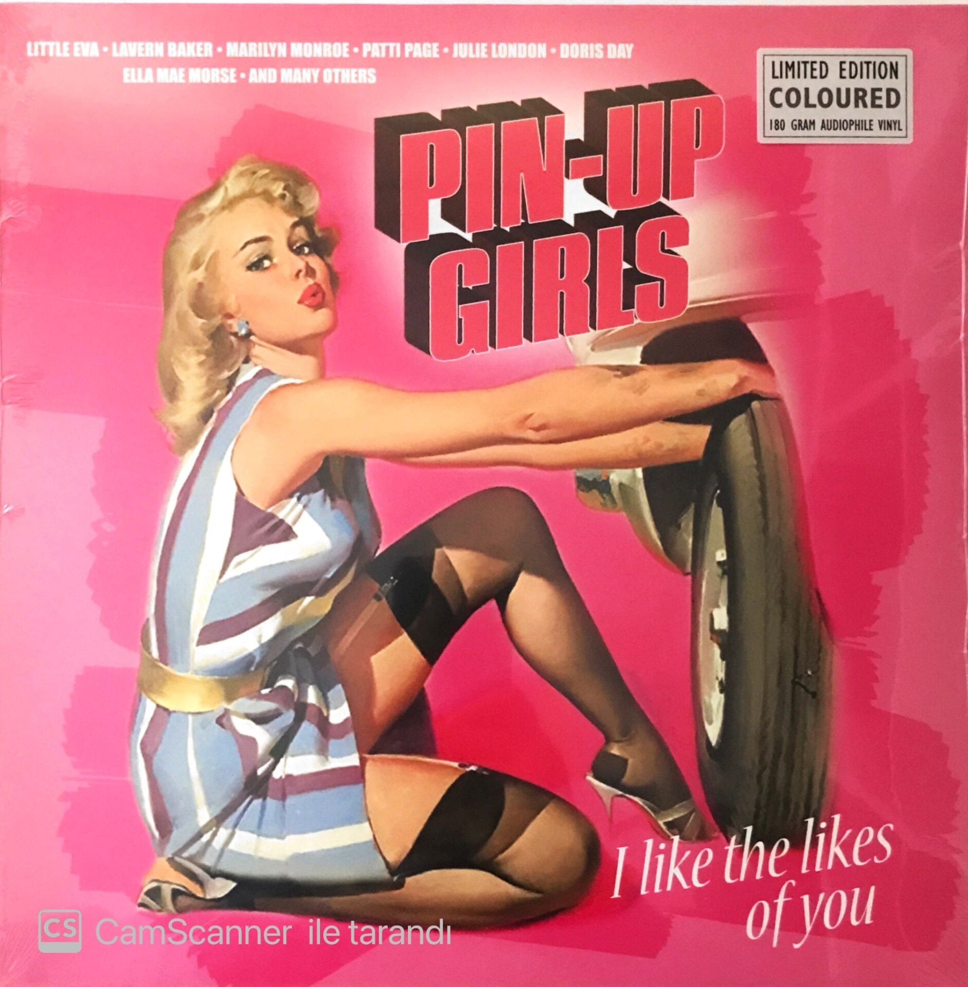Pin Up Girls - I Like The Likes Of You - LP