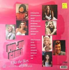 Pin Up Girls - I Like The Likes Of You - LP