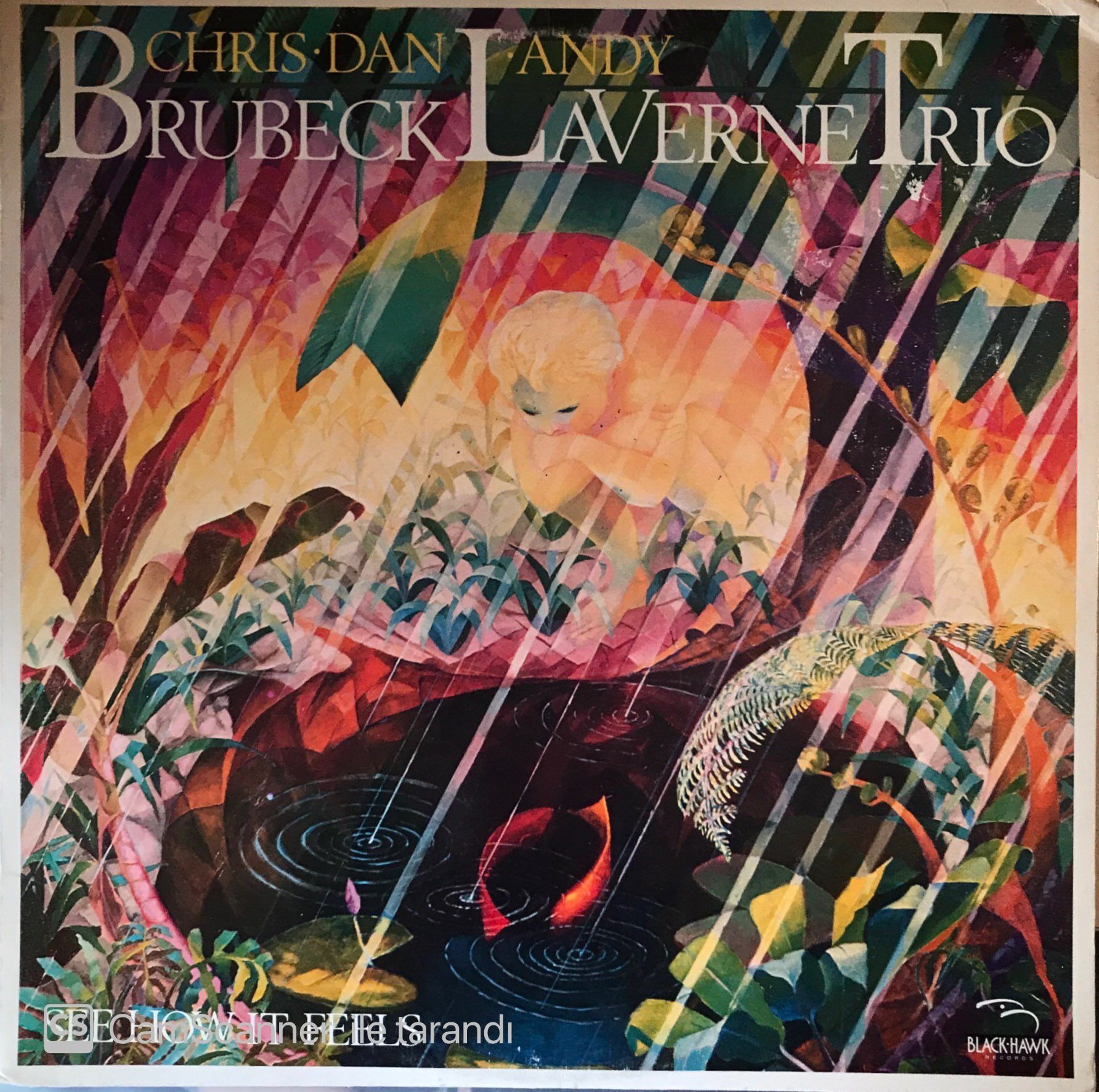 Brubeck / La Verne Trio - See How It Feels LP
